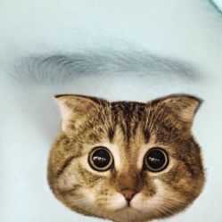 -久匠半永久纹眉
