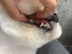 -宠物家(大兴旧宫店)