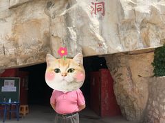 -仙蘑洞