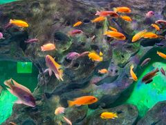 -常州海昌海洋探索馆