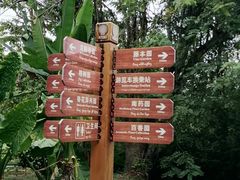 -中国科学院西双版纳热带植物园