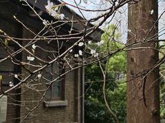 -南京晨光1865创意产业园