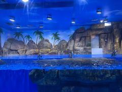 -石家庄市动物园