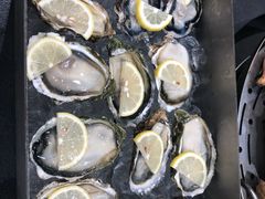 生蚝刺身-飞尝蚝·顺德菜·鱼生(顺德总店)