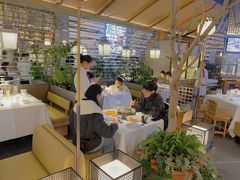 -桂满陇·海市蜃楼·黑金(国金店)