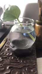 -发饰美男士增发补发假发定制店