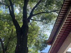 -金银湖国家城市湿地公园
