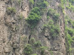 -山西通天峡景区