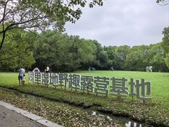 -同里国家湿地公园