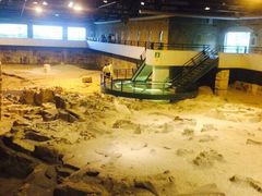 iphone_upload_pic-自贡恐龙博物馆