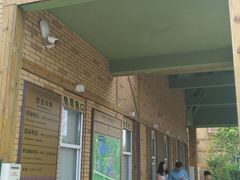 -大塘金香草谷