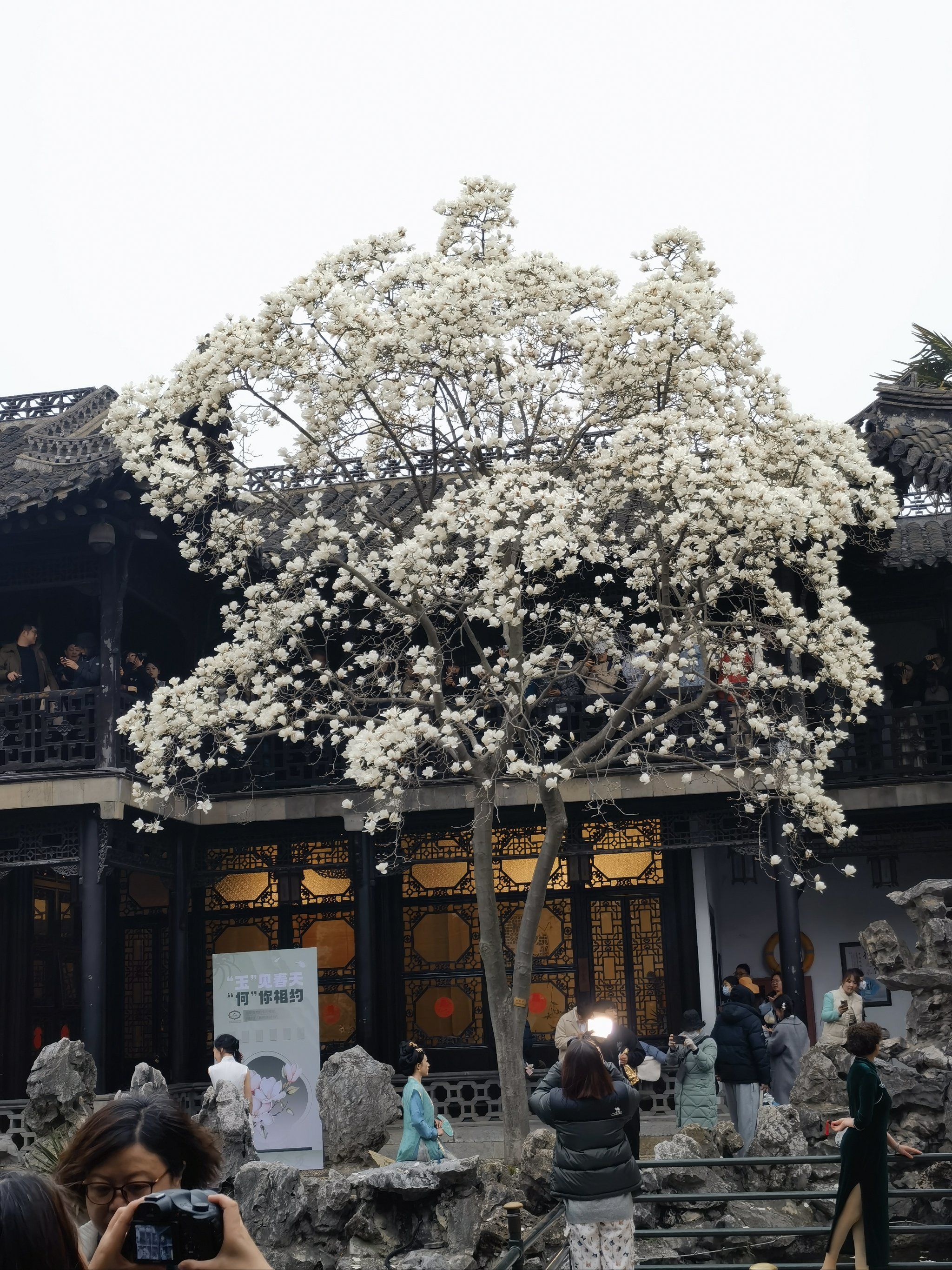 扬州|何园真的好美!