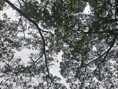 -晓港公园