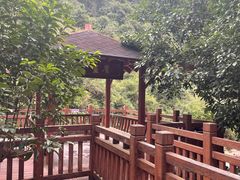 -广州白江湖森林公园