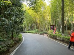 -石燕湖生态旅游景区