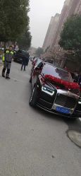 -蚂蚁婚车