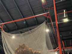 -极限PLAY运动娱乐新世界·团建派对表演休闲馆·室内高空游乐园