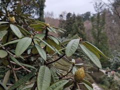 -阿哈湖国家湿地公园
