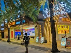 -三亚海昌梦幻海洋不夜城