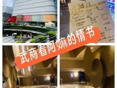 -武商摩尔影城(国广IMAX激光店)