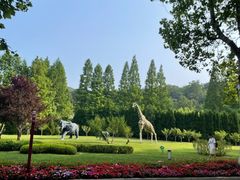 -棒棰岛宾馆景区