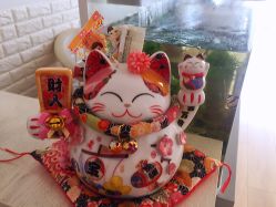 -Yukina Plus专业日式美肌