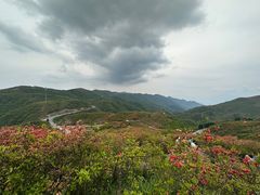 -大围山国家森林公园