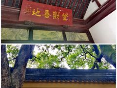 -西园戒幢律寺