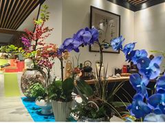 -青藤茶馆(南山路店)