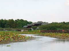 -上海海湾国家森林公园