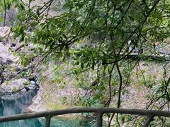 -龙湾潭国家森林公园