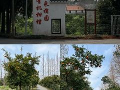 -上海长兴岛郊野公园