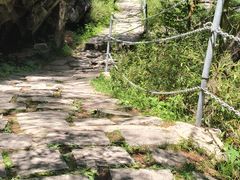 -朱雀国家森林公园