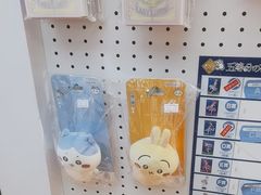 -IPSTAR|潮玩星球(新百店)