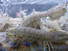 -来之顺海鲜菜馆·青岛菜·始于1993(栈桥店)