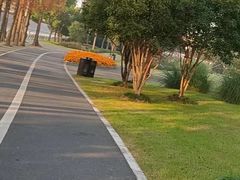 -上海如意智慧酒店(上海科学院店)