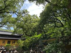 -普陀山风景名胜区-法雨禅寺