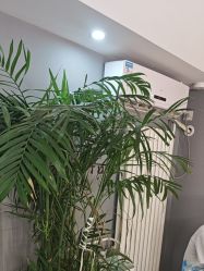 -相约芊艺护肤造型