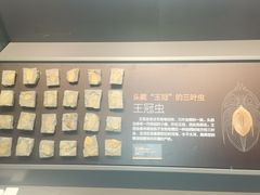 -贝林大翅鲸简餐厅(国家海洋博物馆店)