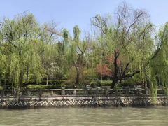 -运河游船(武林门码头)