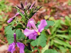 -苏州河梦清园环保主题公园