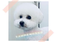 -太原东方动物医院(小店分院)