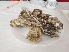 -渔民船说·北塘海鲜·天津菜·海肠捞饭(北塘古镇店)