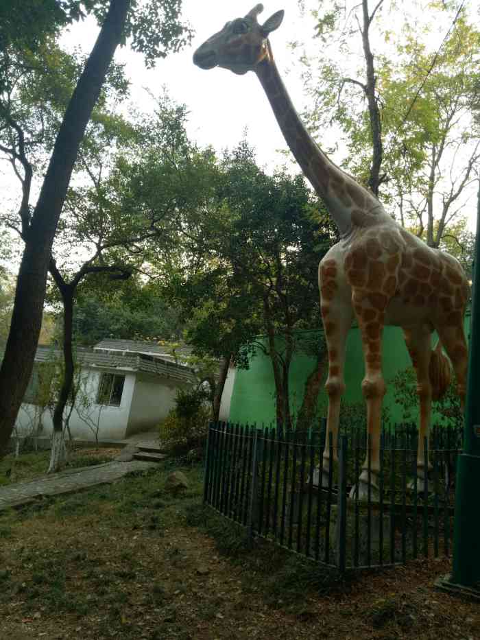 虞山动物园售票处-"抓住暑假的尾巴带小朋友去了常熟动物园,就.
