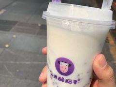 -一只酸奶牛(八一路店)