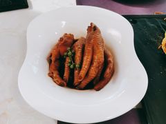 -点都德·毕德寮