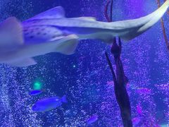 -沈阳海洋探索中心