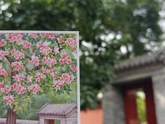 -承恩寺