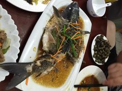 悠悠美食-悠悠美食