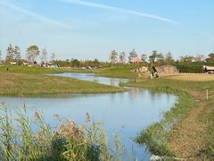 -春花秋色城市公园